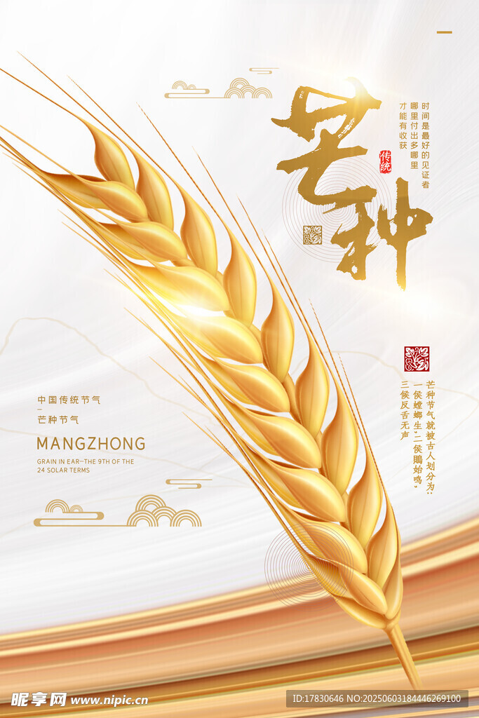 芒种海报