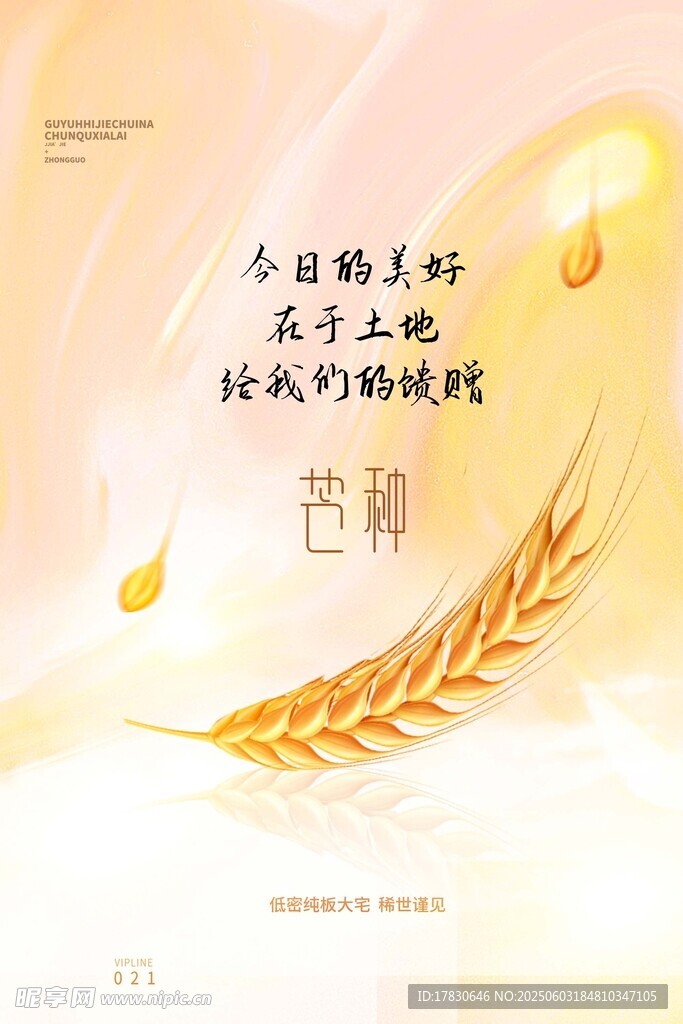 芒种海报