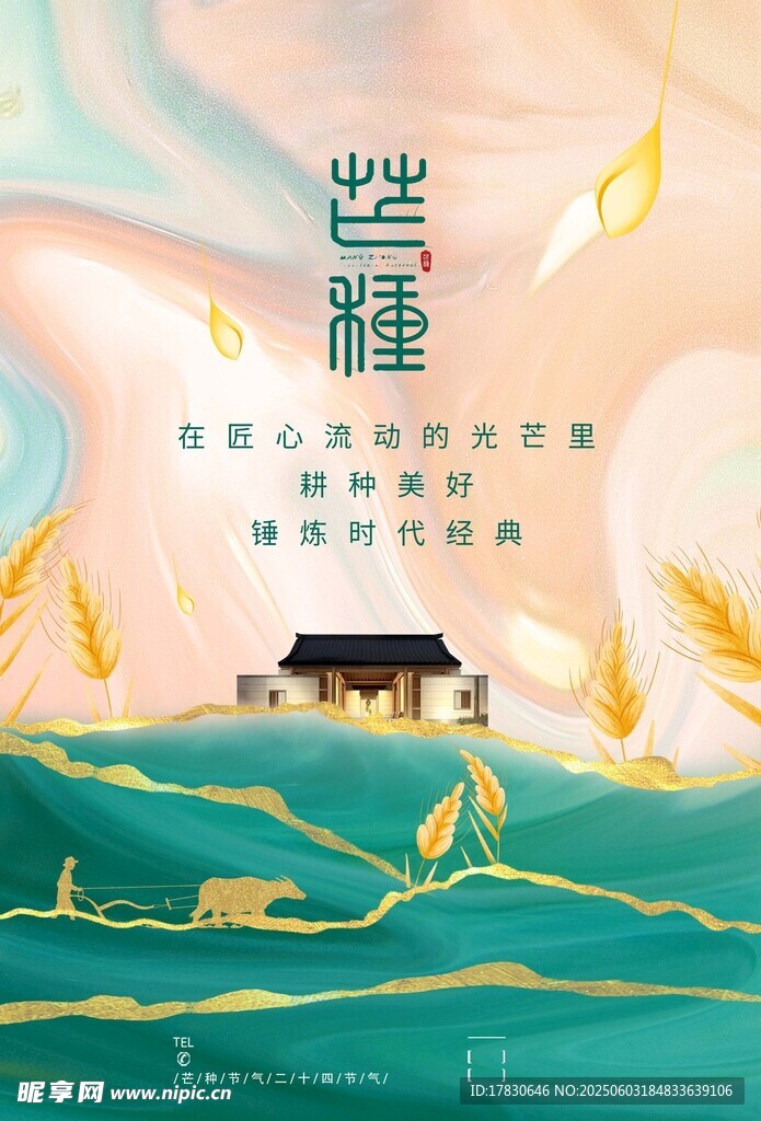 芒种海报