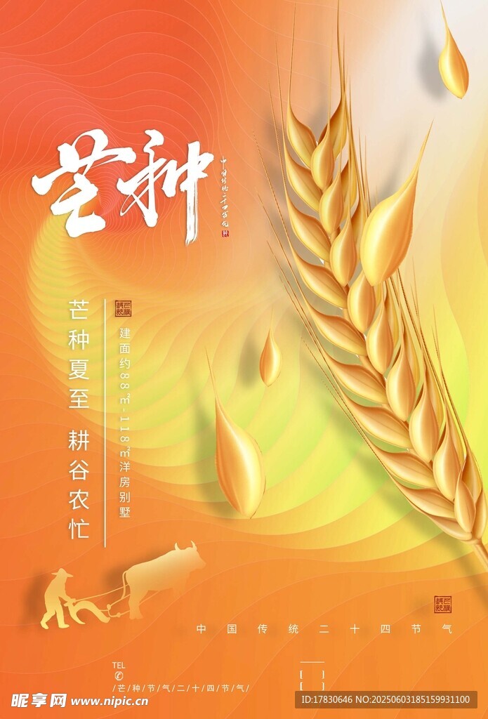 芒种海报