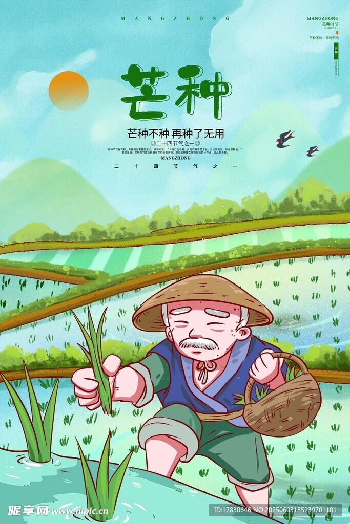 芒种海报