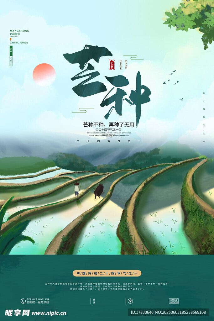 芒种海报