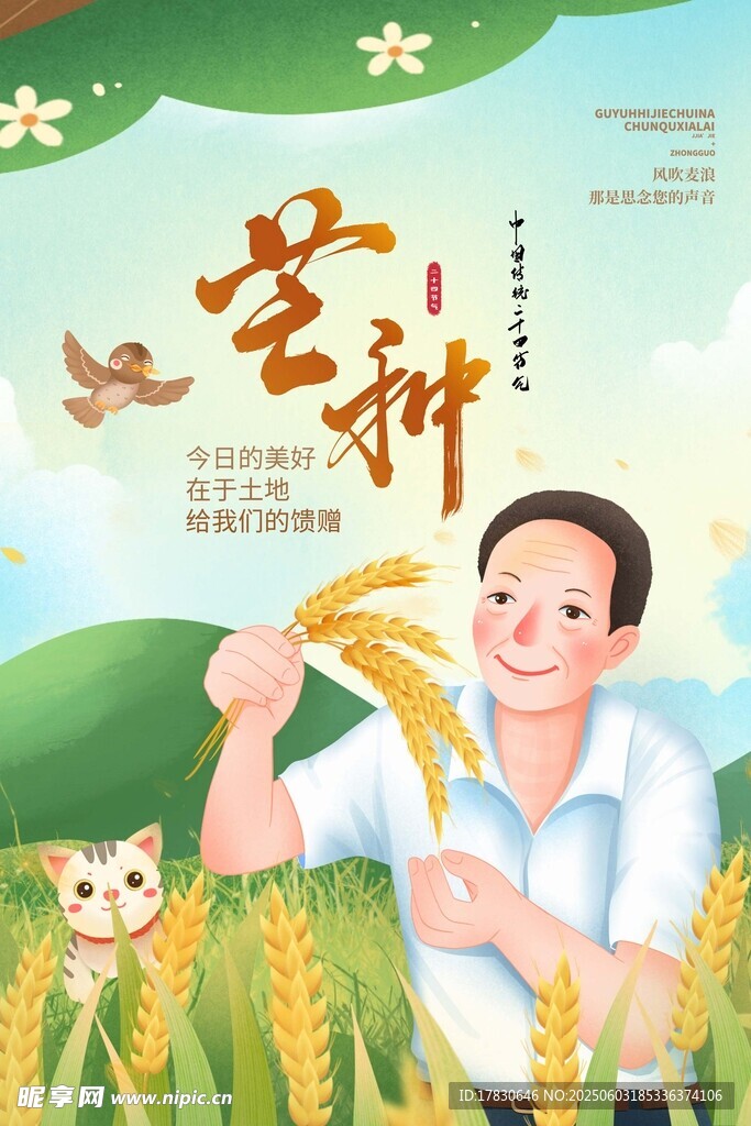 芒种海报