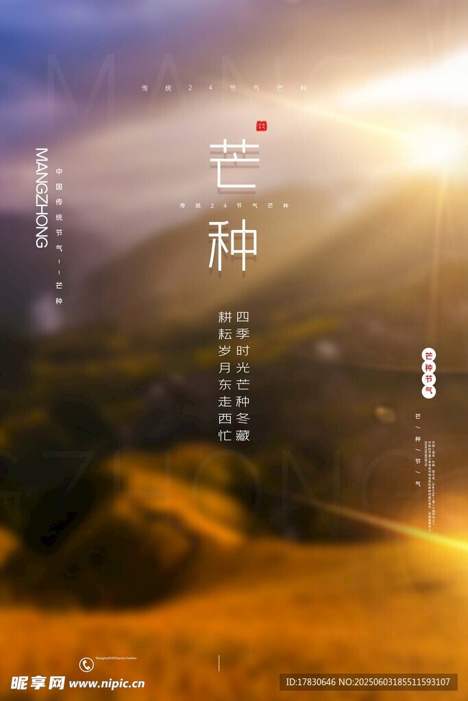 芒种海报
