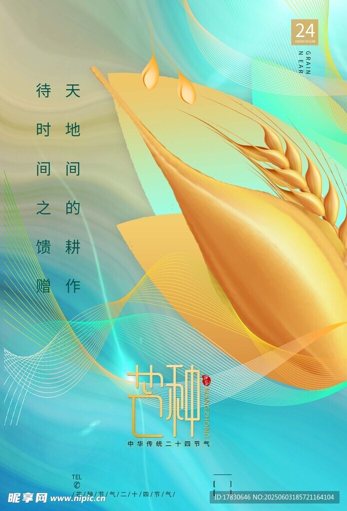 芒种海报