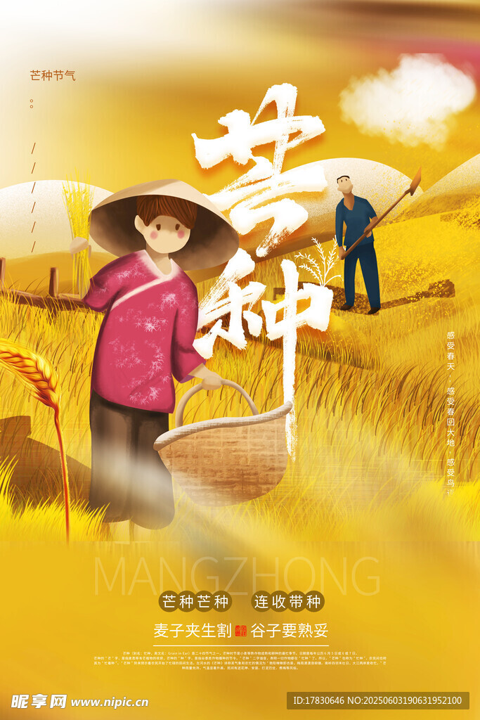 芒种海报
