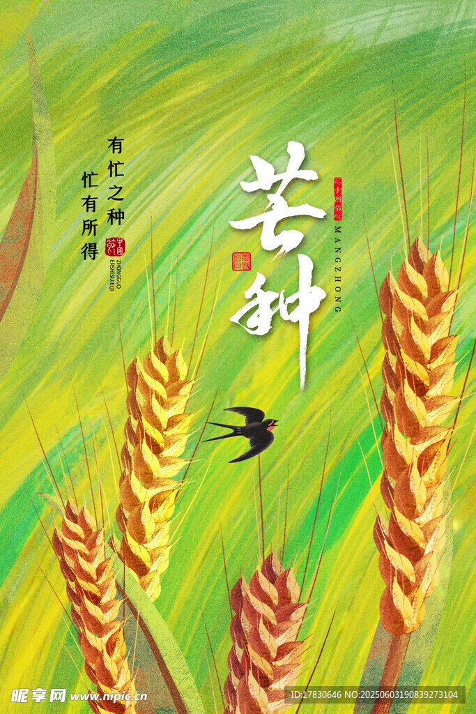 芒种海报