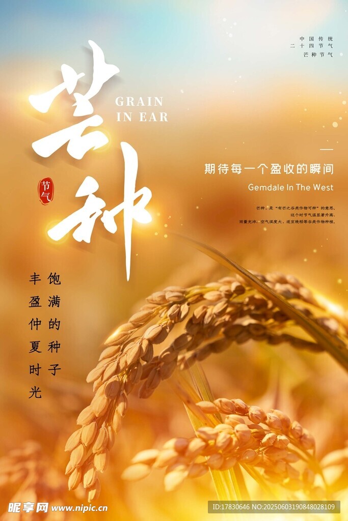 芒种海报
