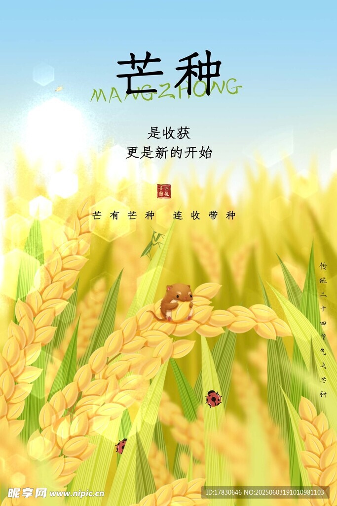 芒种海报