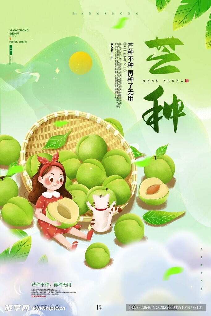芒种海报