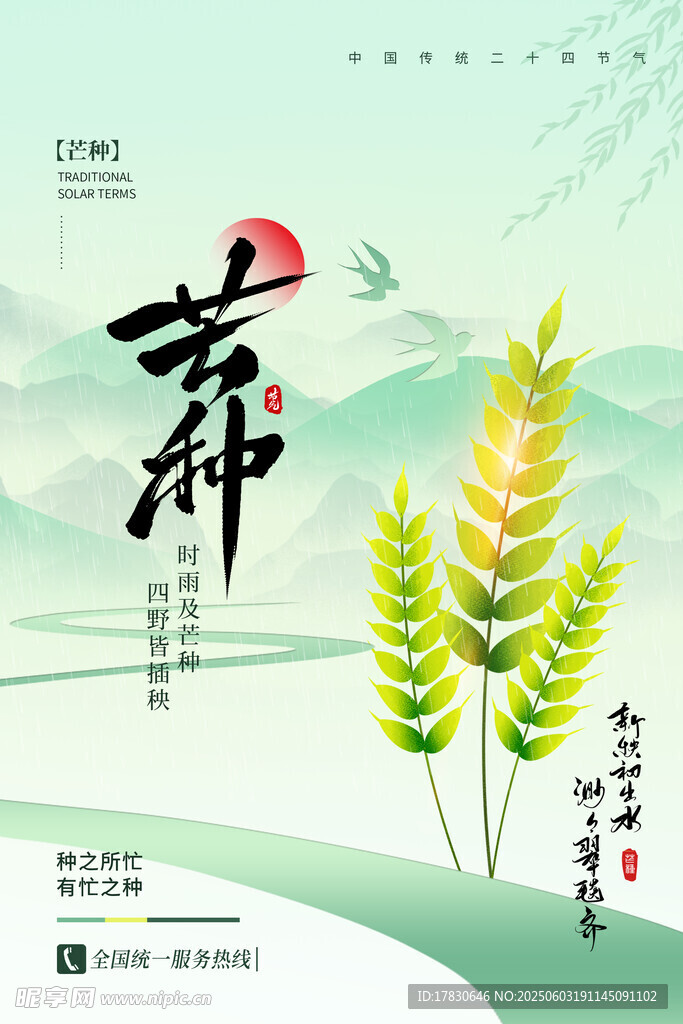 芒种海报