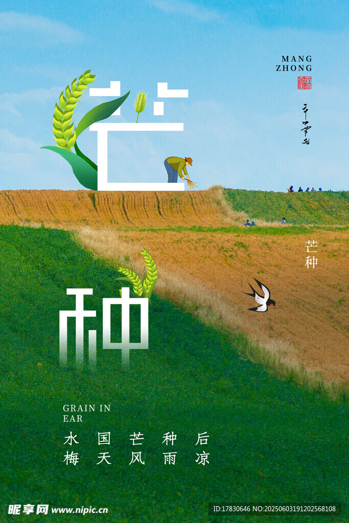 芒种海报