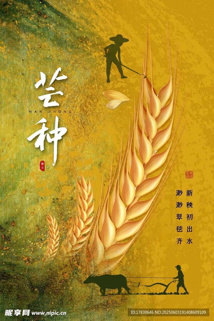 芒种海报