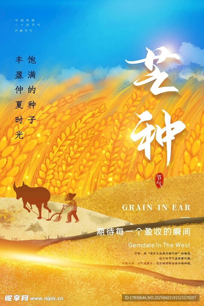 芒种海报