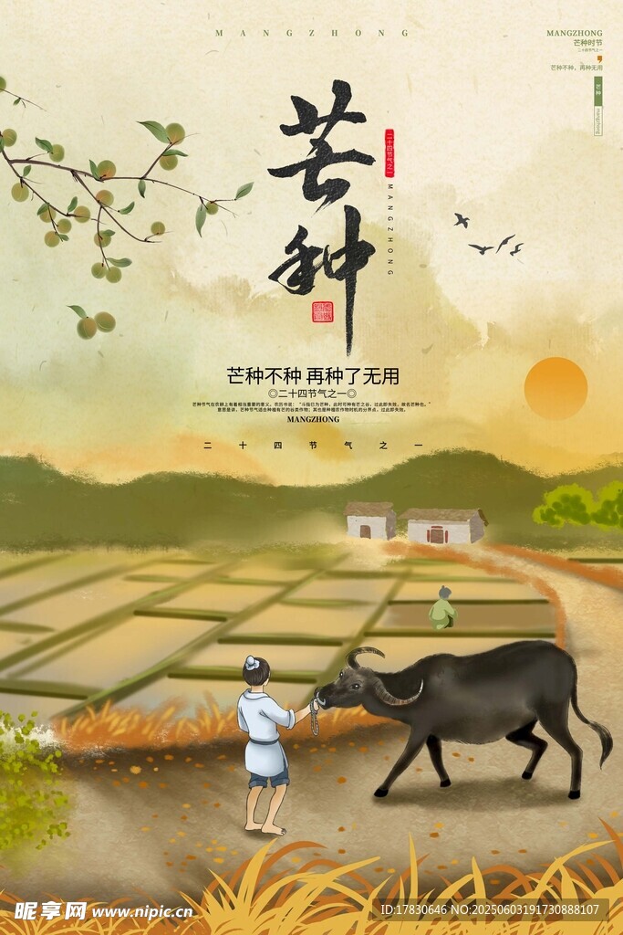芒种海报