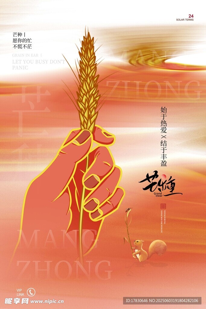 芒种海报