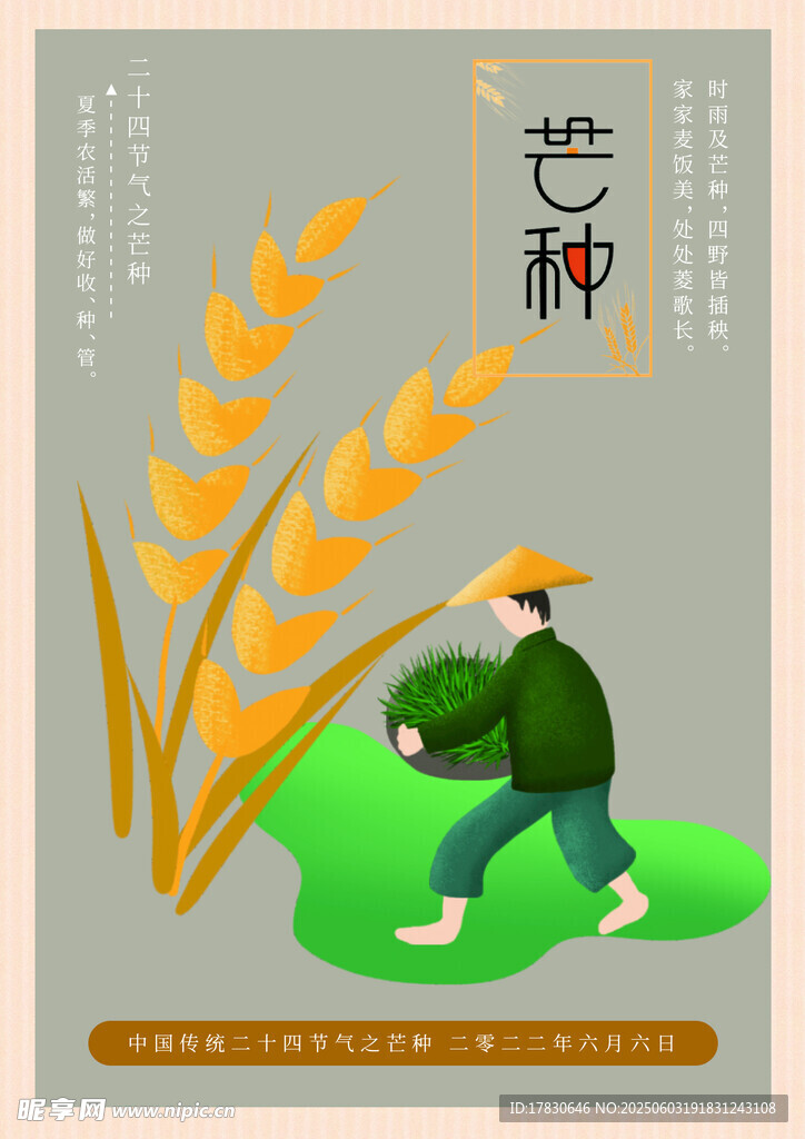芒种海报