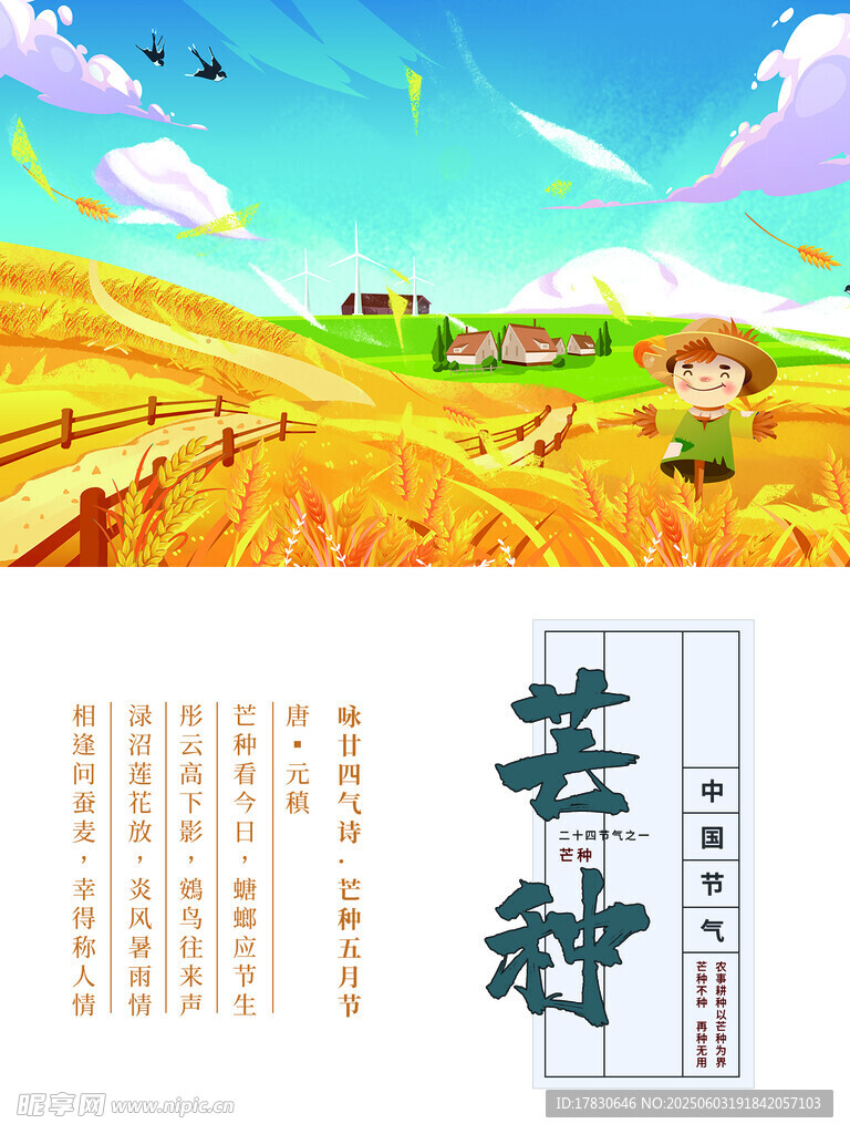 芒种海报