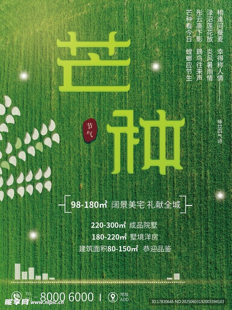 芒种海报