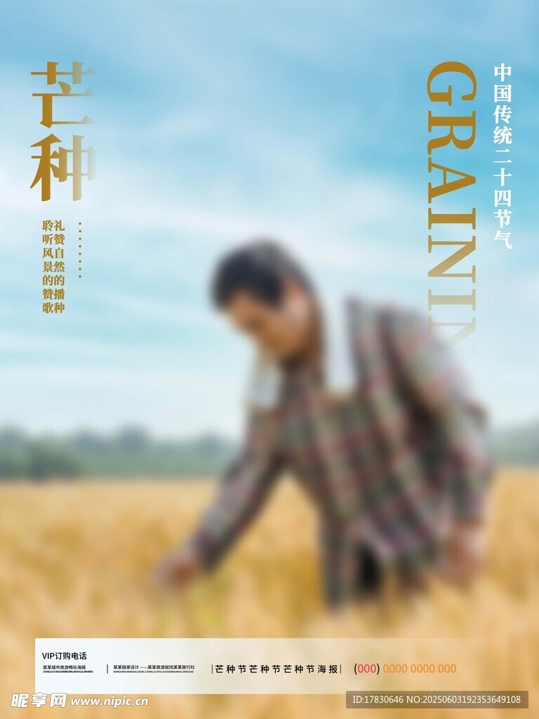 芒种海报