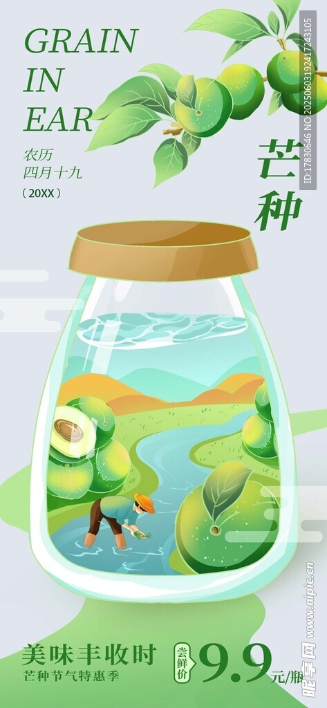 芒种海报