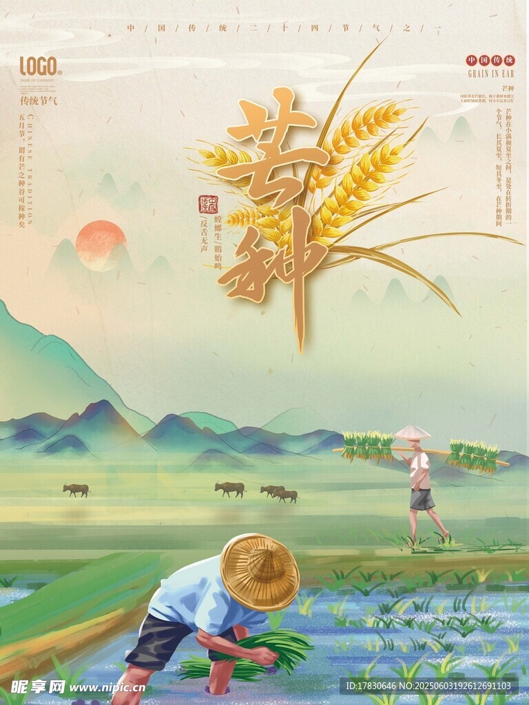 芒种海报