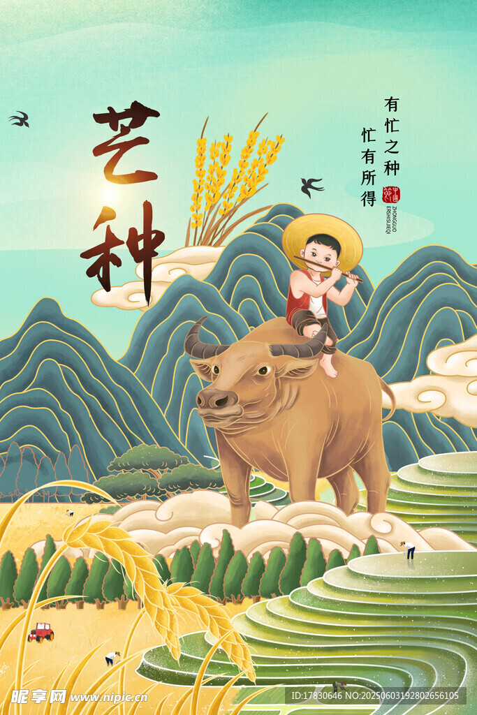 芒种海报