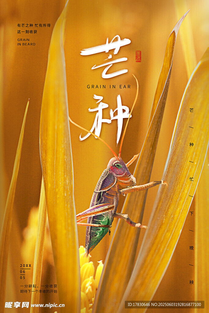 芒种海报