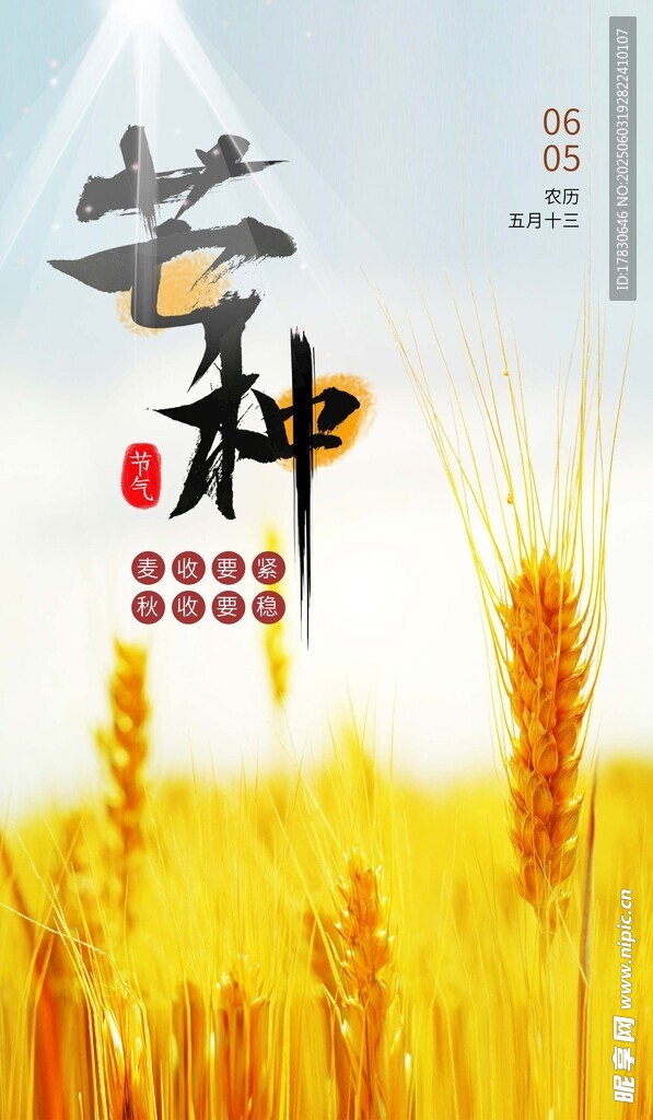 芒种海报