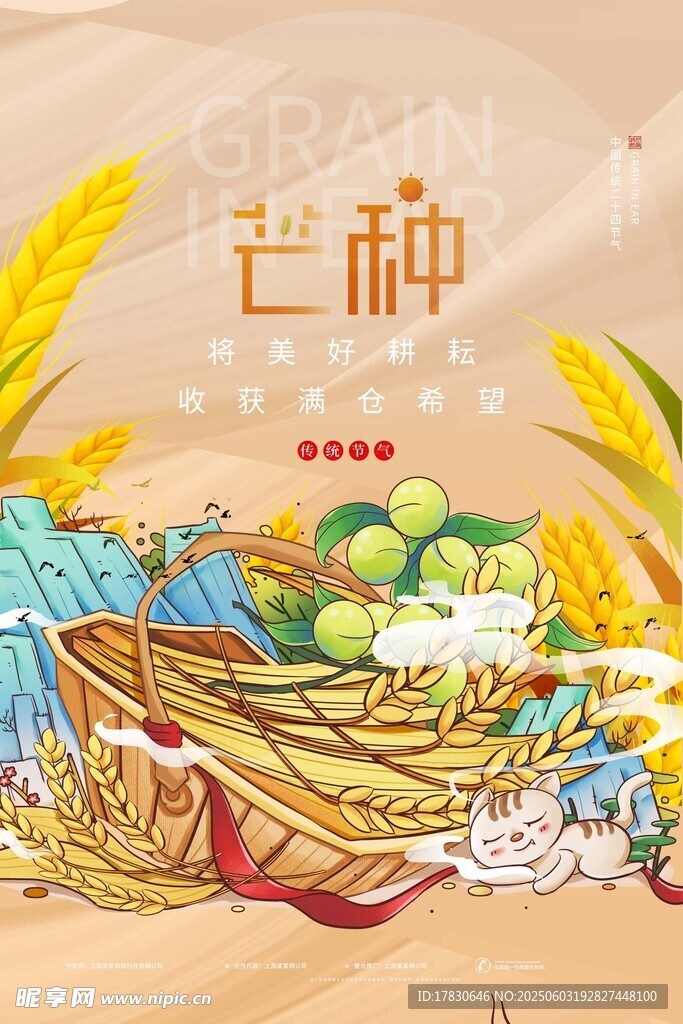 芒种海报