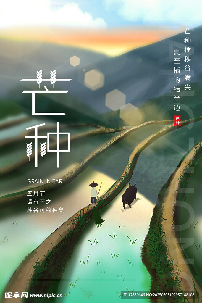 芒种海报