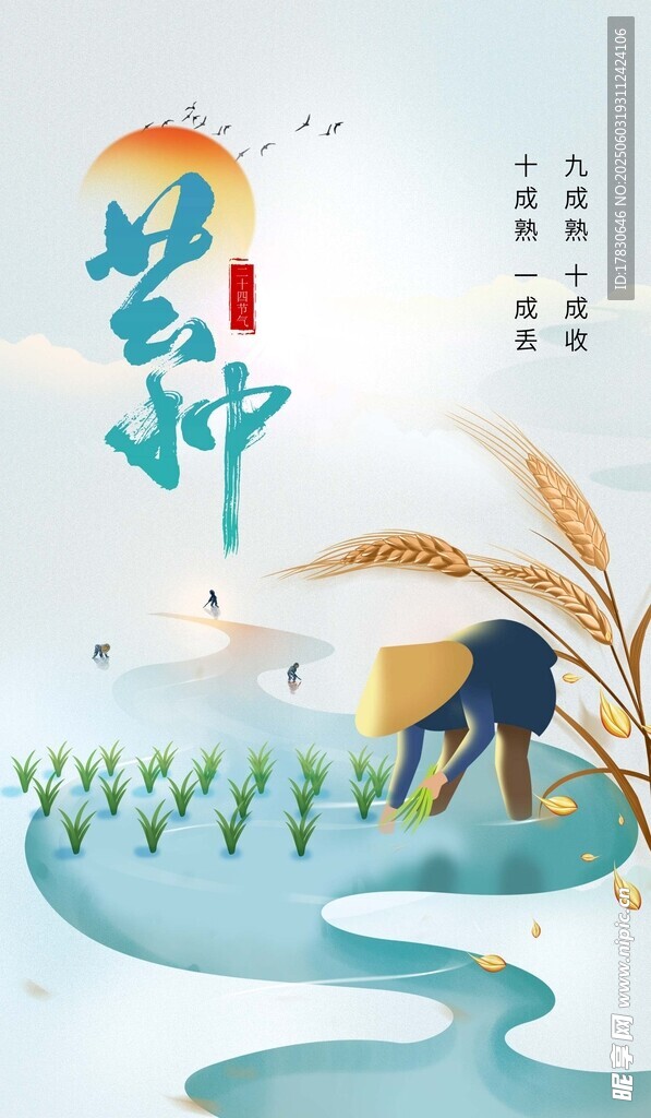 芒种海报