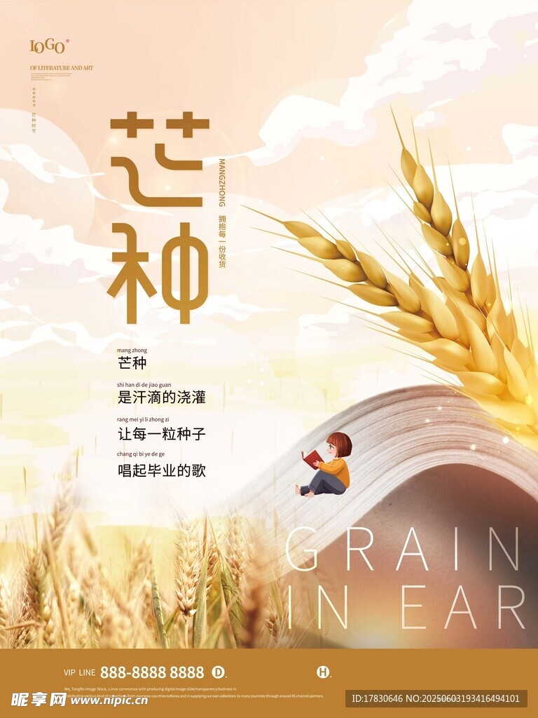 芒种海报