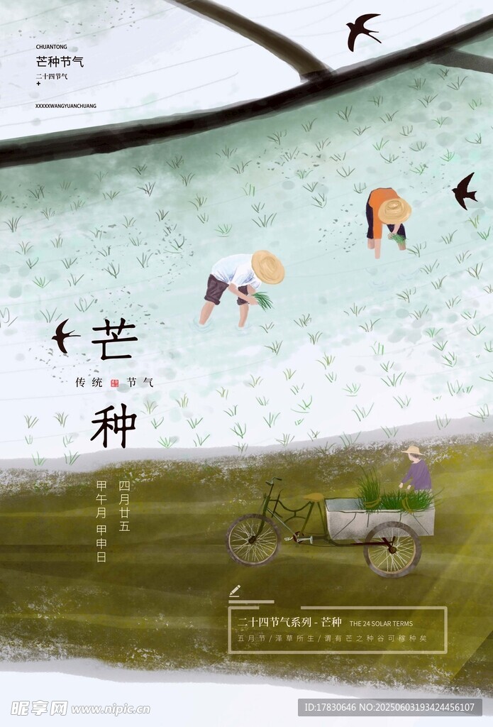 芒种海报