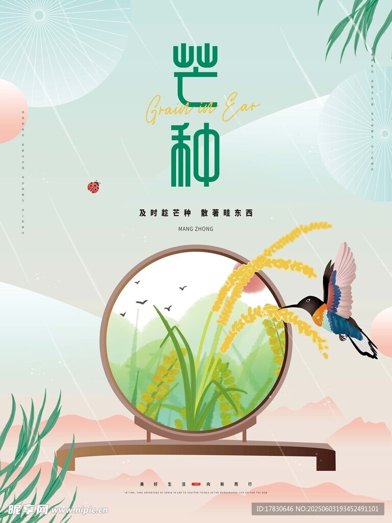 芒种海报