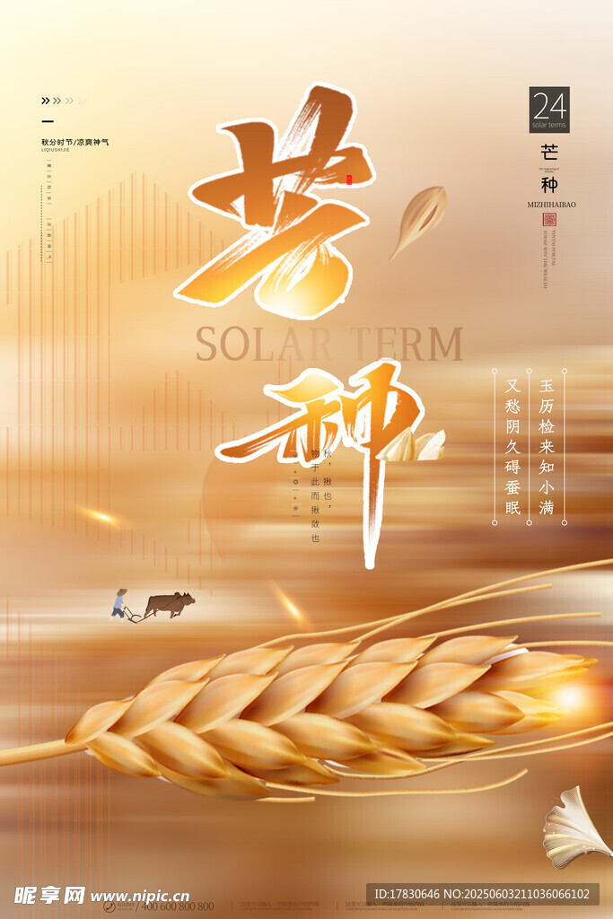 芒种海报