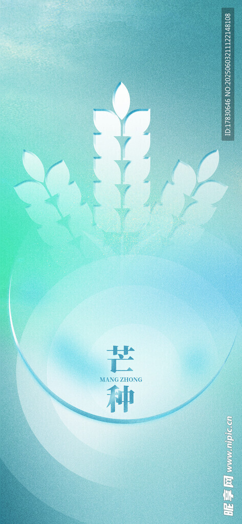 芒种海报