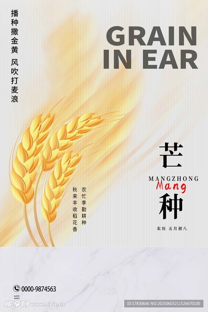 芒种海报