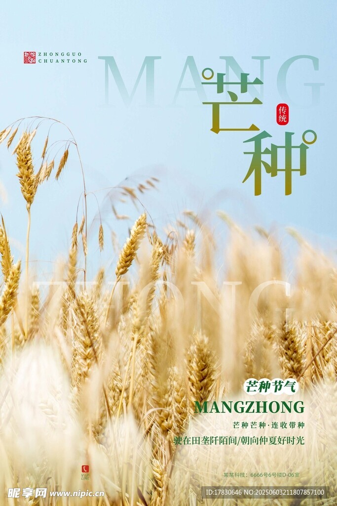 芒种海报