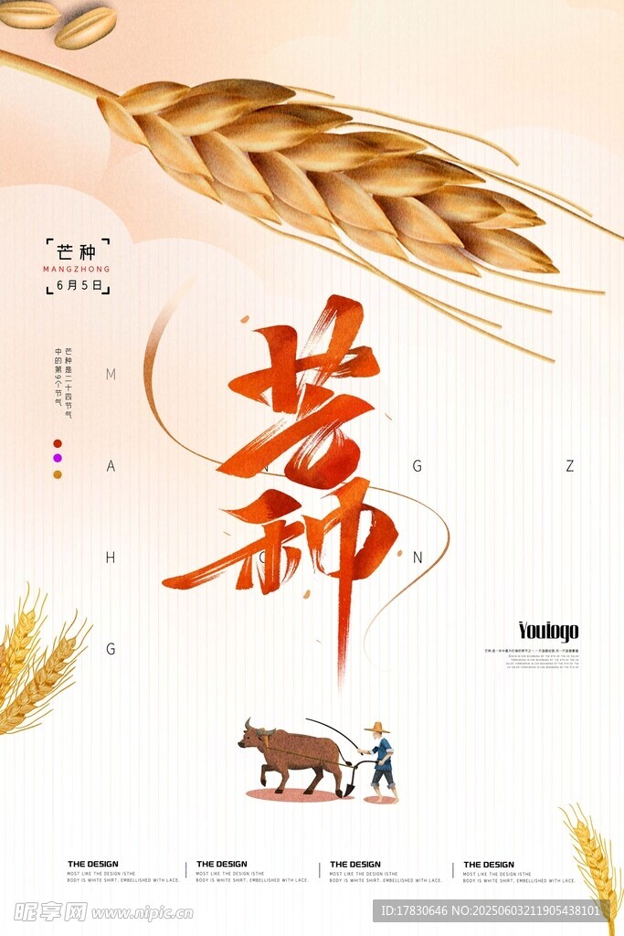 芒种海报