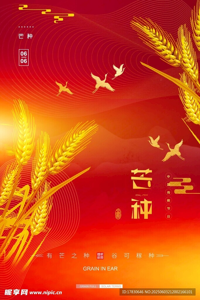 芒种海报