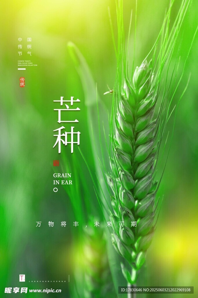芒种海报