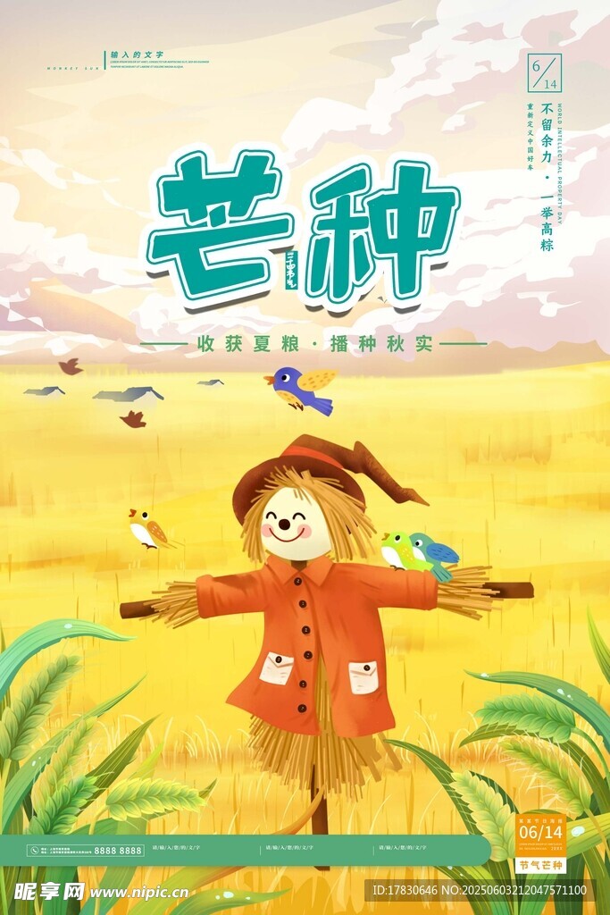 芒种海报