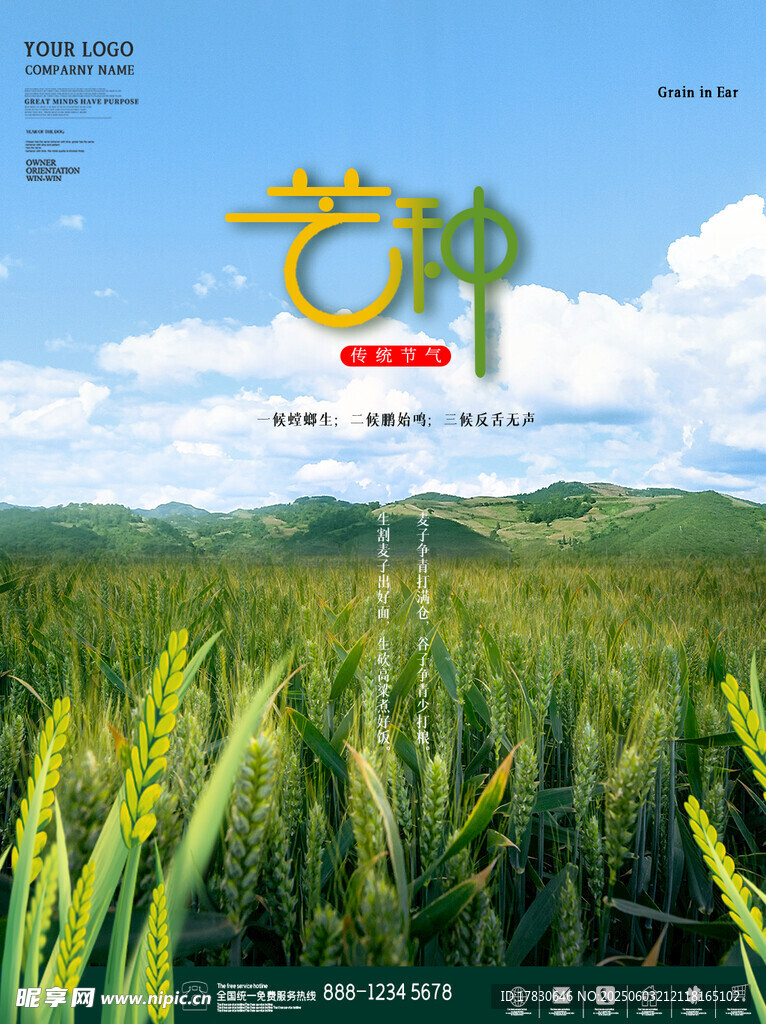 芒种海报