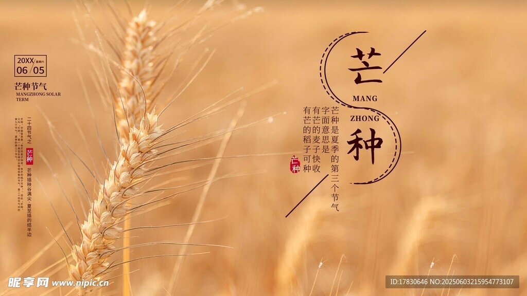 芒种海报