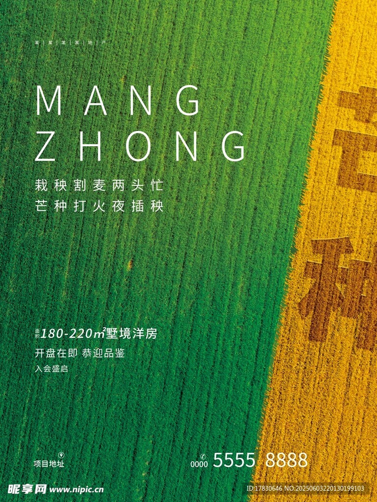 芒种海报