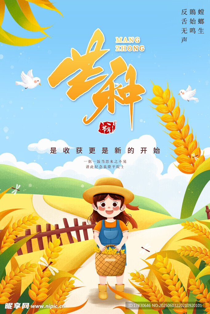 芒种海报