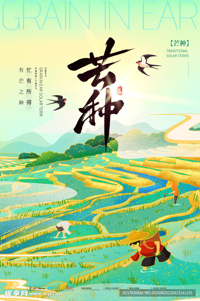 芒种海报