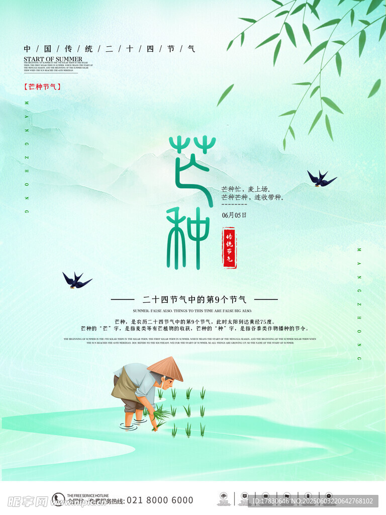 芒种海报