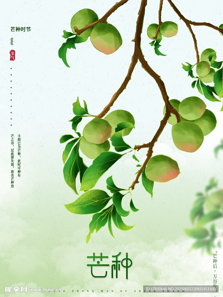 芒种海报